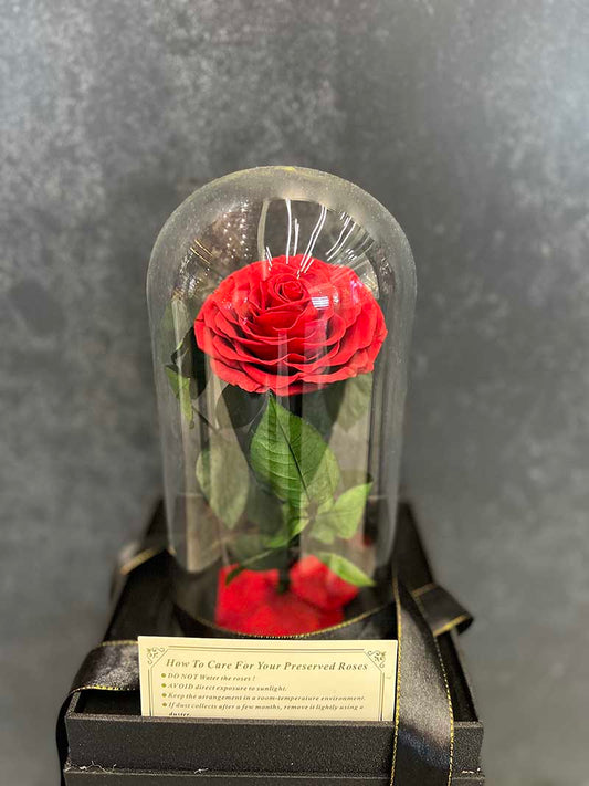 Preserved Red Rose