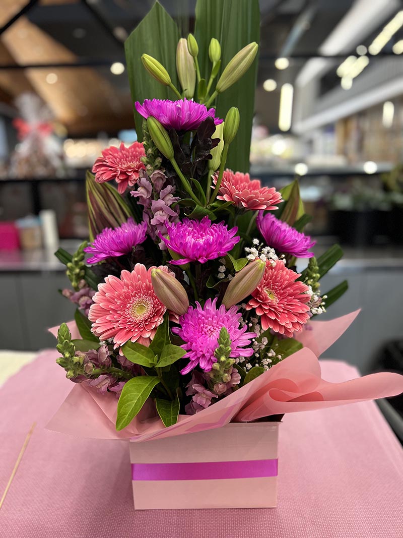 Vibrant Fusion Box