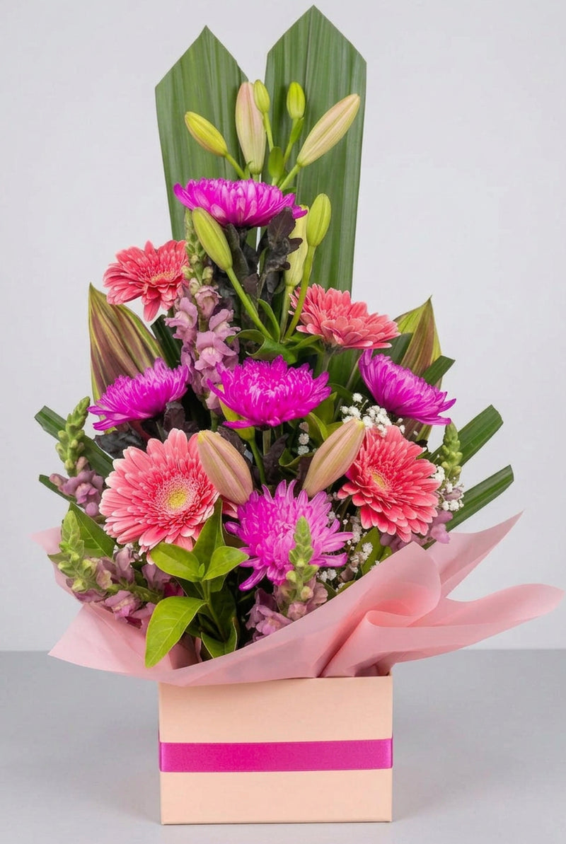 Vibrant Fusion Box