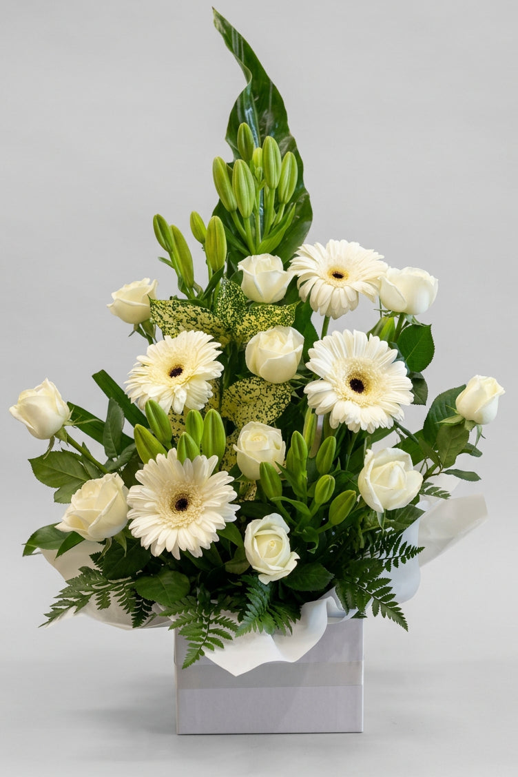 Pure Elegance White Box