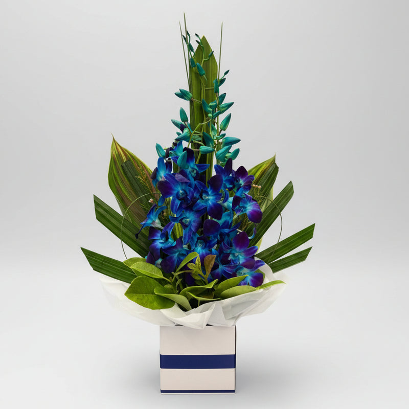 Blue Orchid Box