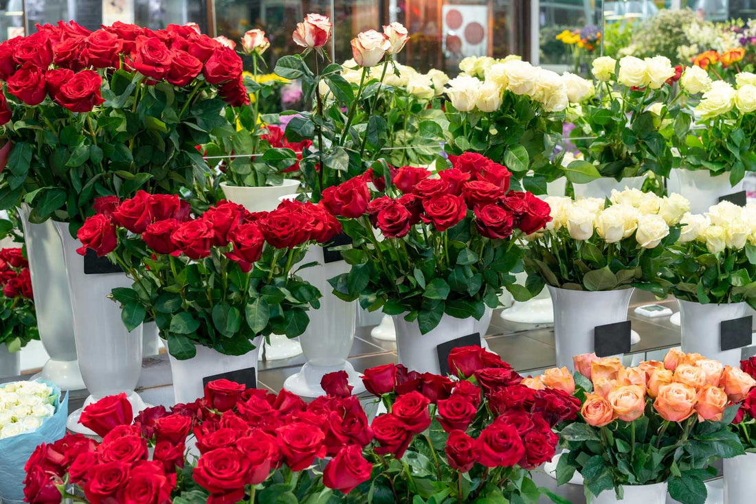 Fresh flowers at the Williams Landing Blooms store