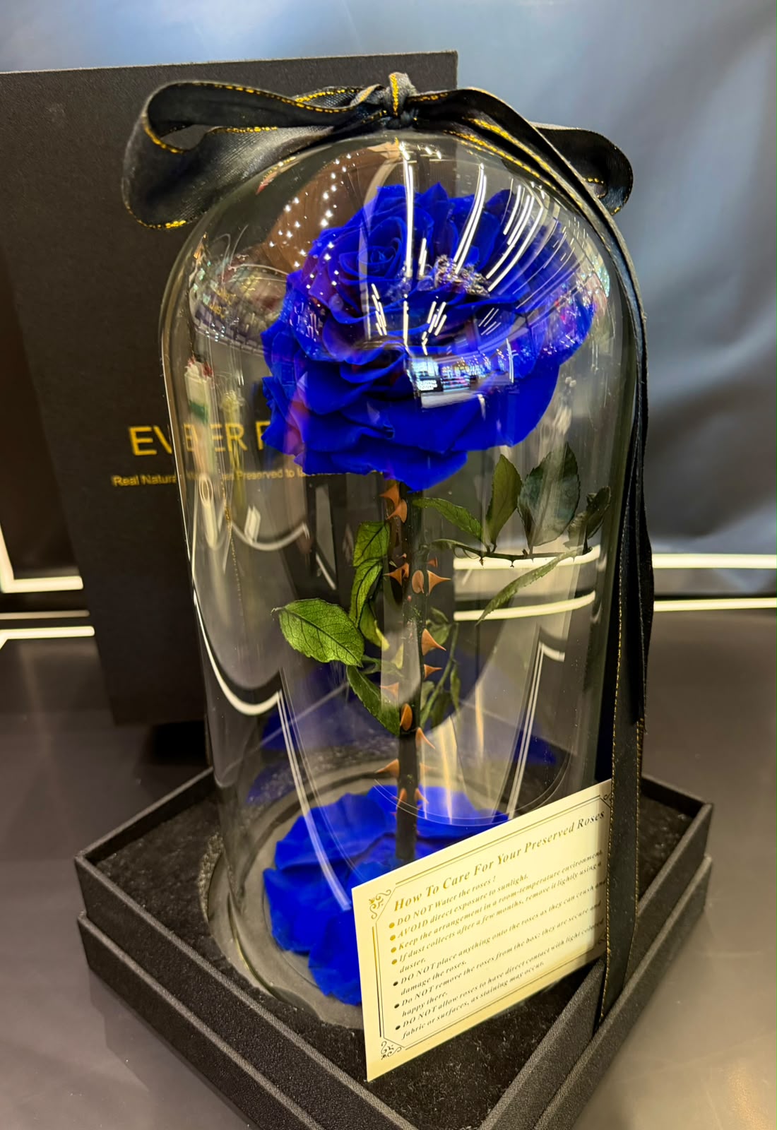 Large Preserved Blue Rose