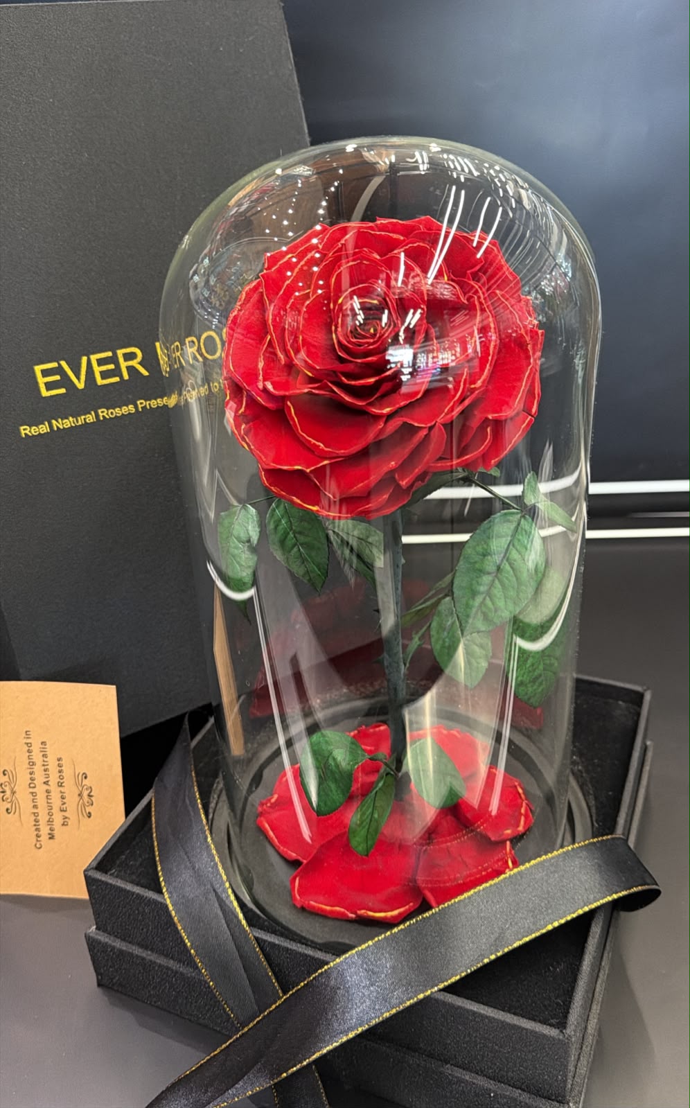 Large Preserved Red Rose