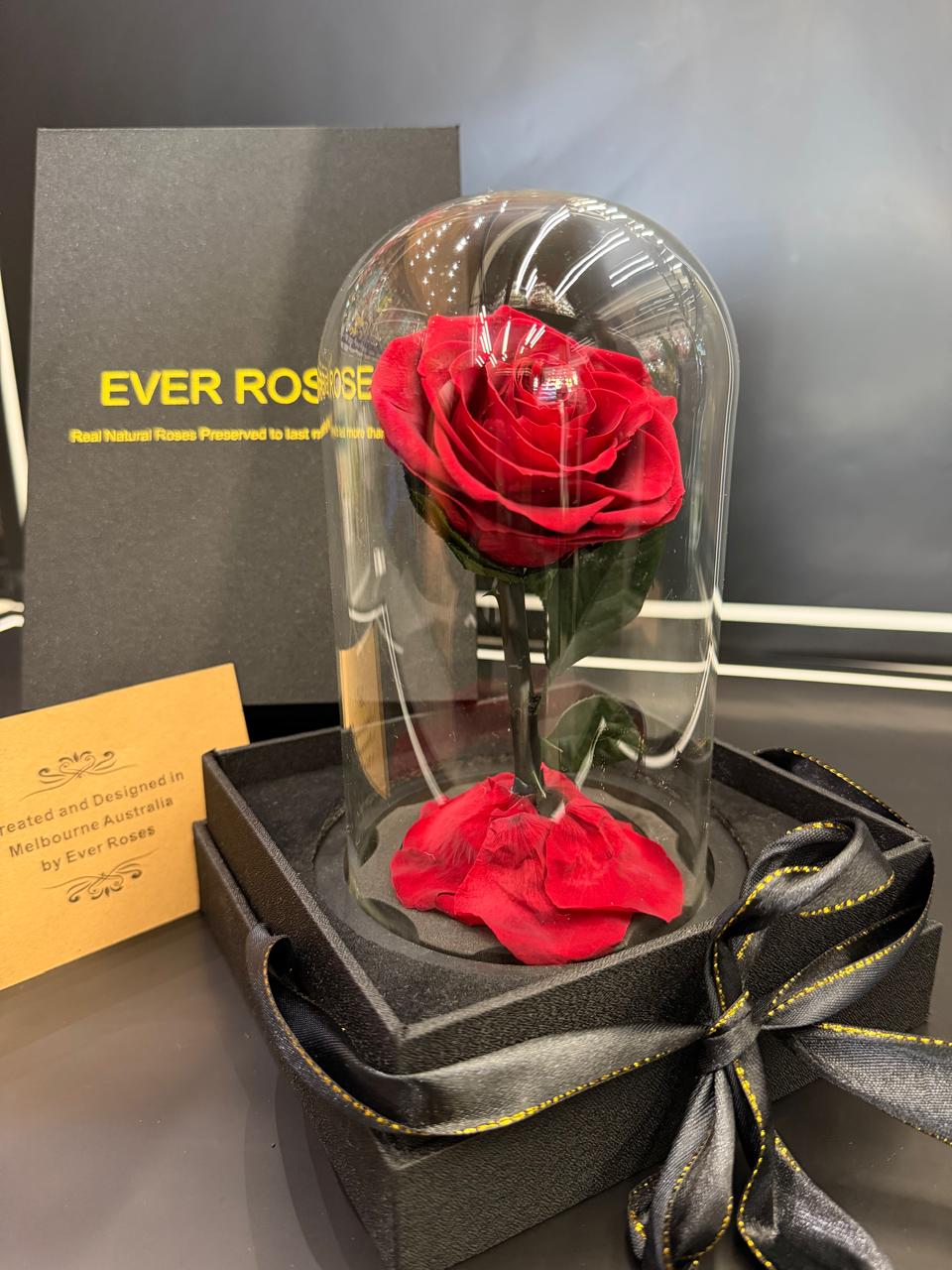 Red Preserved Roses