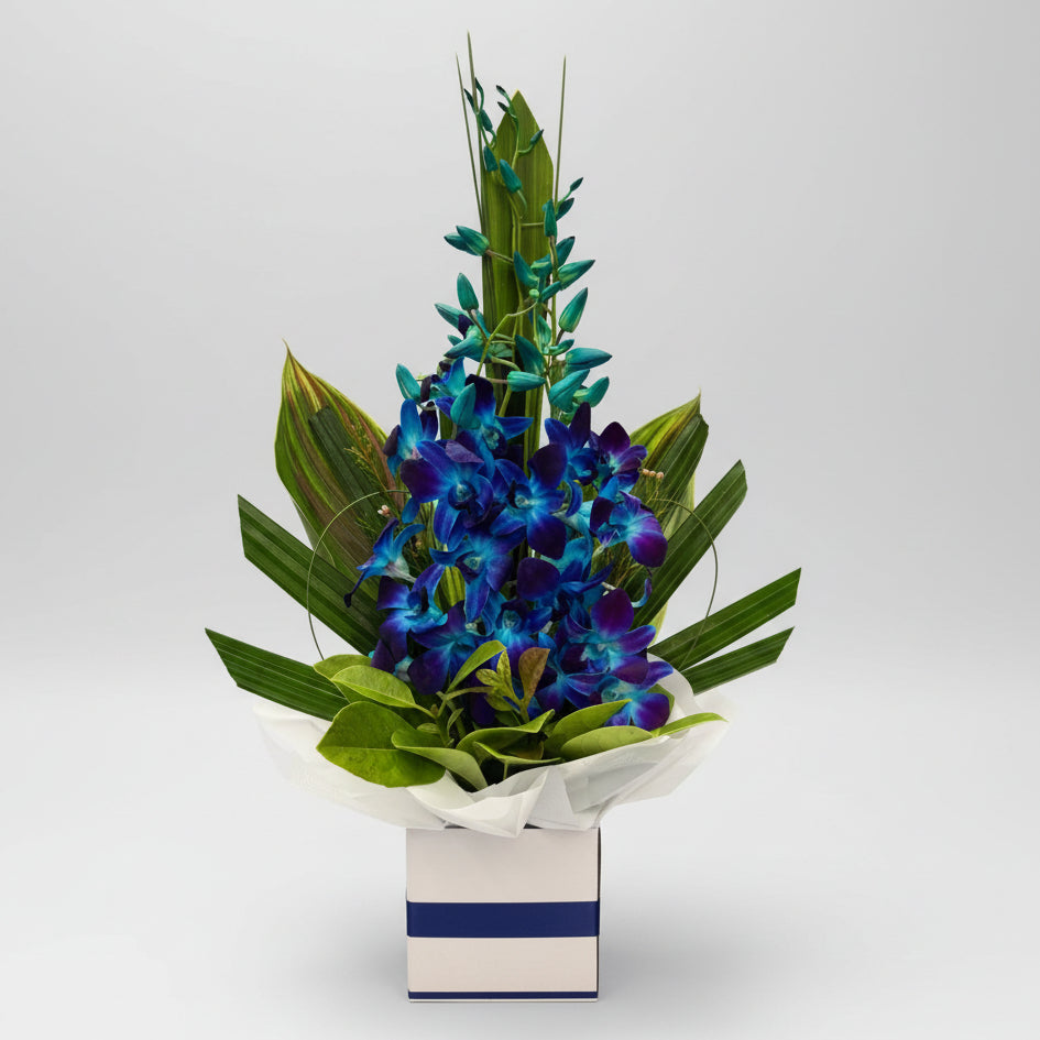 Blue Orchid Box