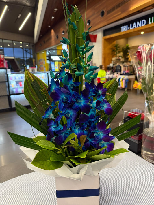 Blue Orchid Box