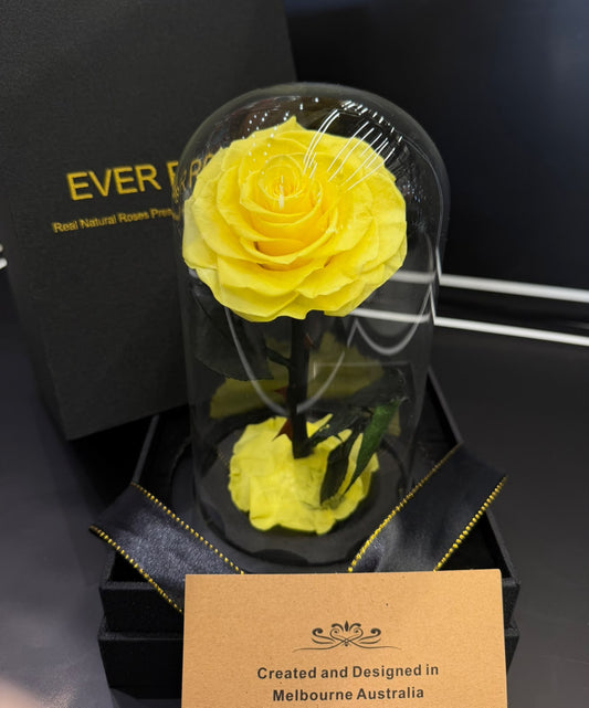 Yellow Preserved Roses